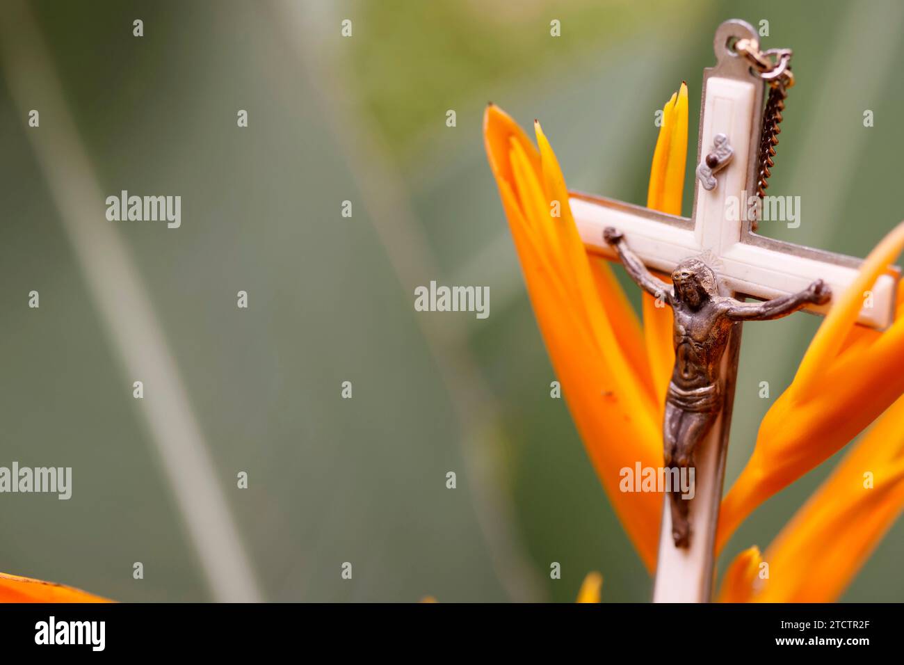 Crucifix of Jesus on a tropical flower. Pray in nature. Stock Photo