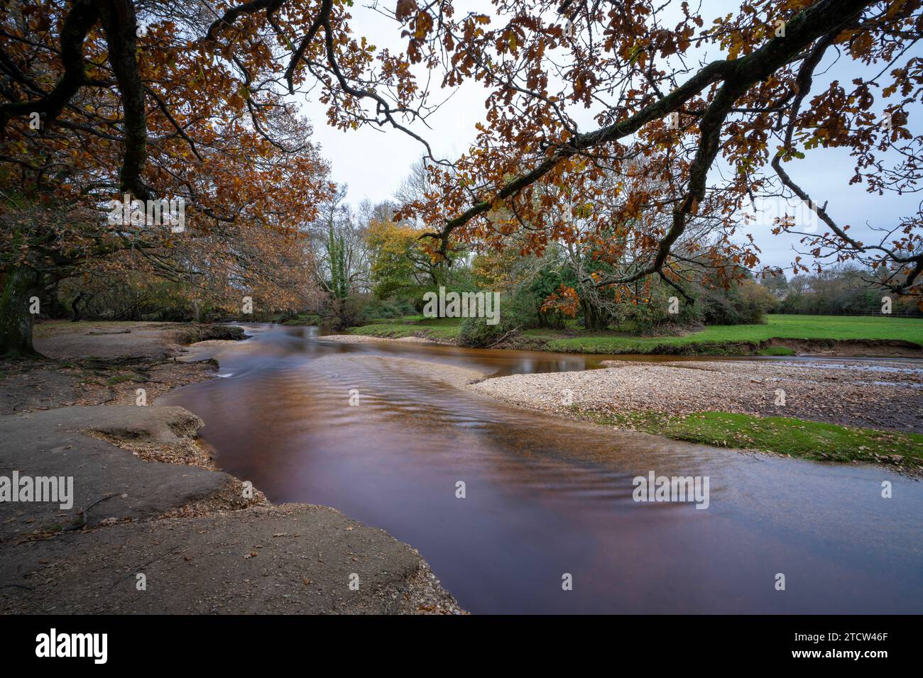 Brockenhurst River Beach, known locally as Brock beach on the Lymington River, Brockenhurst in the New Forest National Park, Hampshire, England, Uk Stock Photo