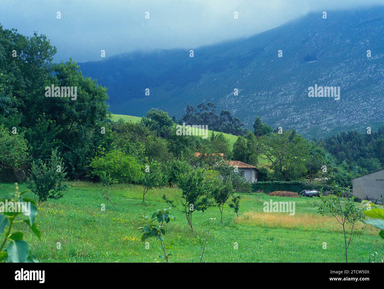 Pomarada hi-res stock photography and images - Alamy