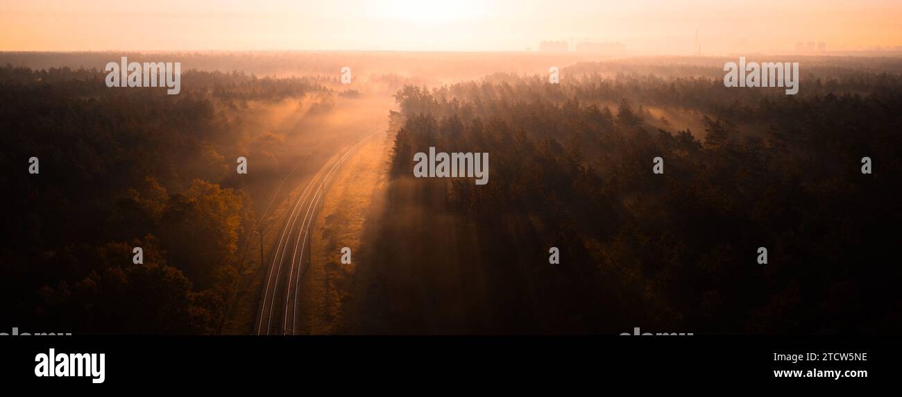 Fog over forest railway tracks hi-res stock photography and images - Alamy