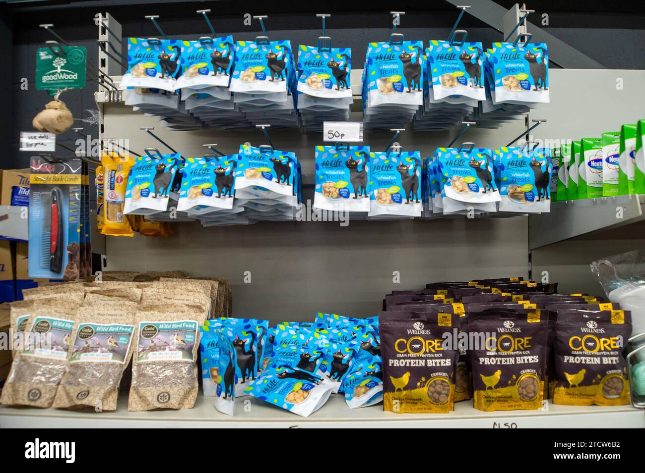 Best grocery store kitten food sale