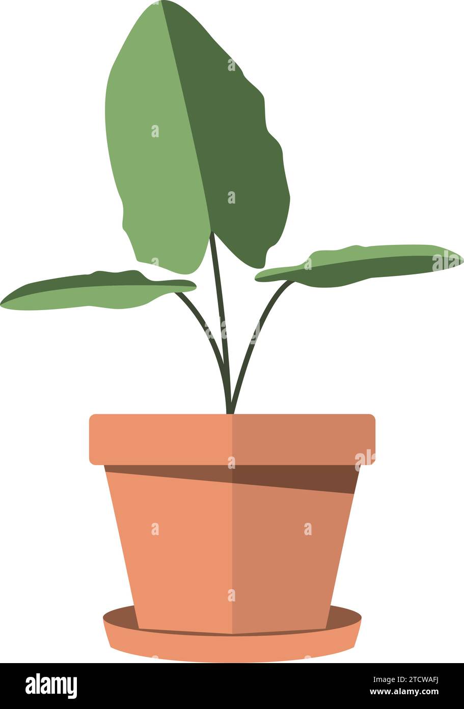 Cute indoor plant icon Vector Stock Vector Image & Art - Alamy