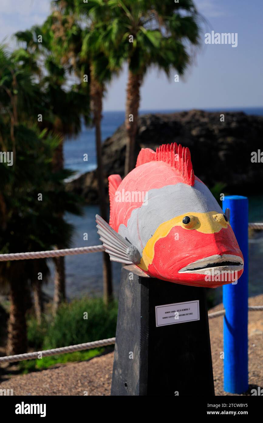 Sculpture of Mediterranean parrotfish Sparisoma cretense, above the fishing harbour, El Cotillo, Fuerteventura, Canary Islands, Spain. Stock Photo