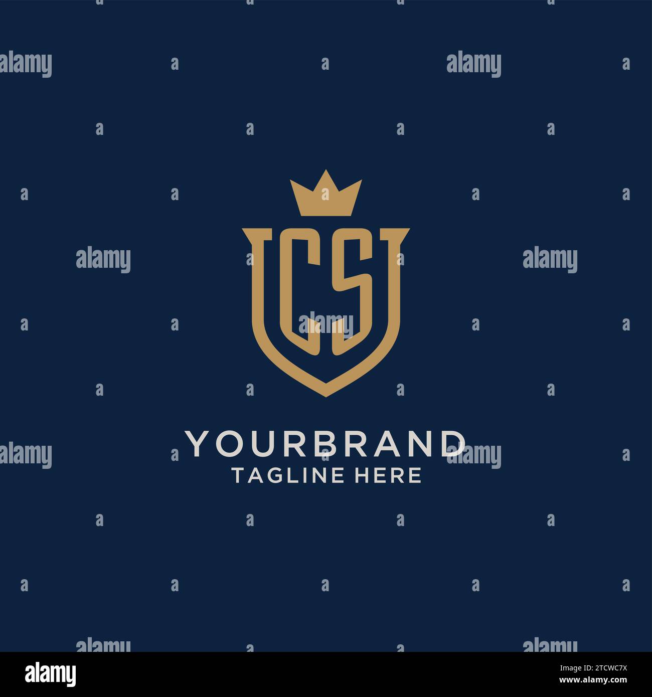 CS initial shield crown logo vector graphic Stock Vector
