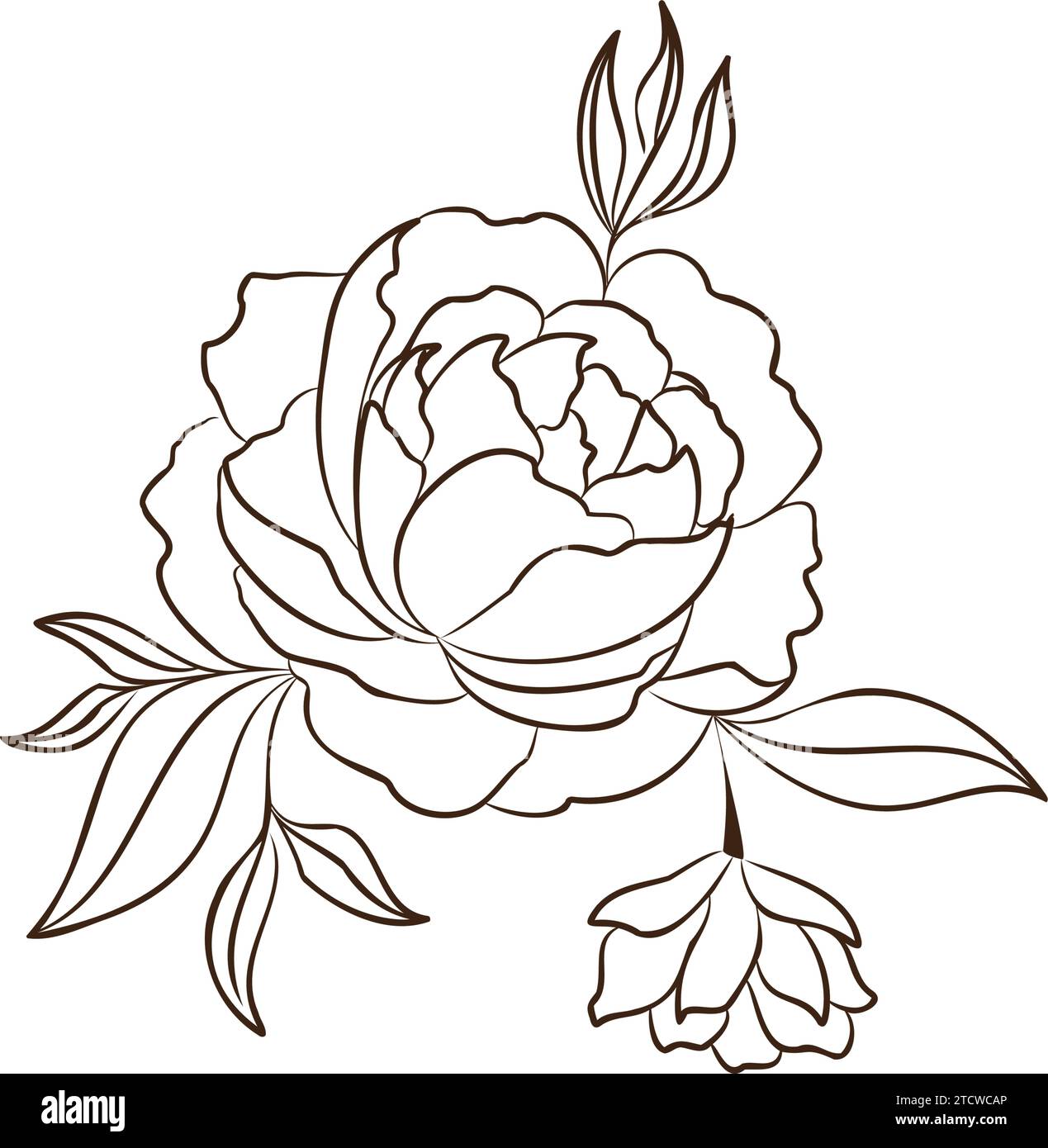 Vintage hand drawn flower sketch Vector Stock Vector Image & Art - Alamy