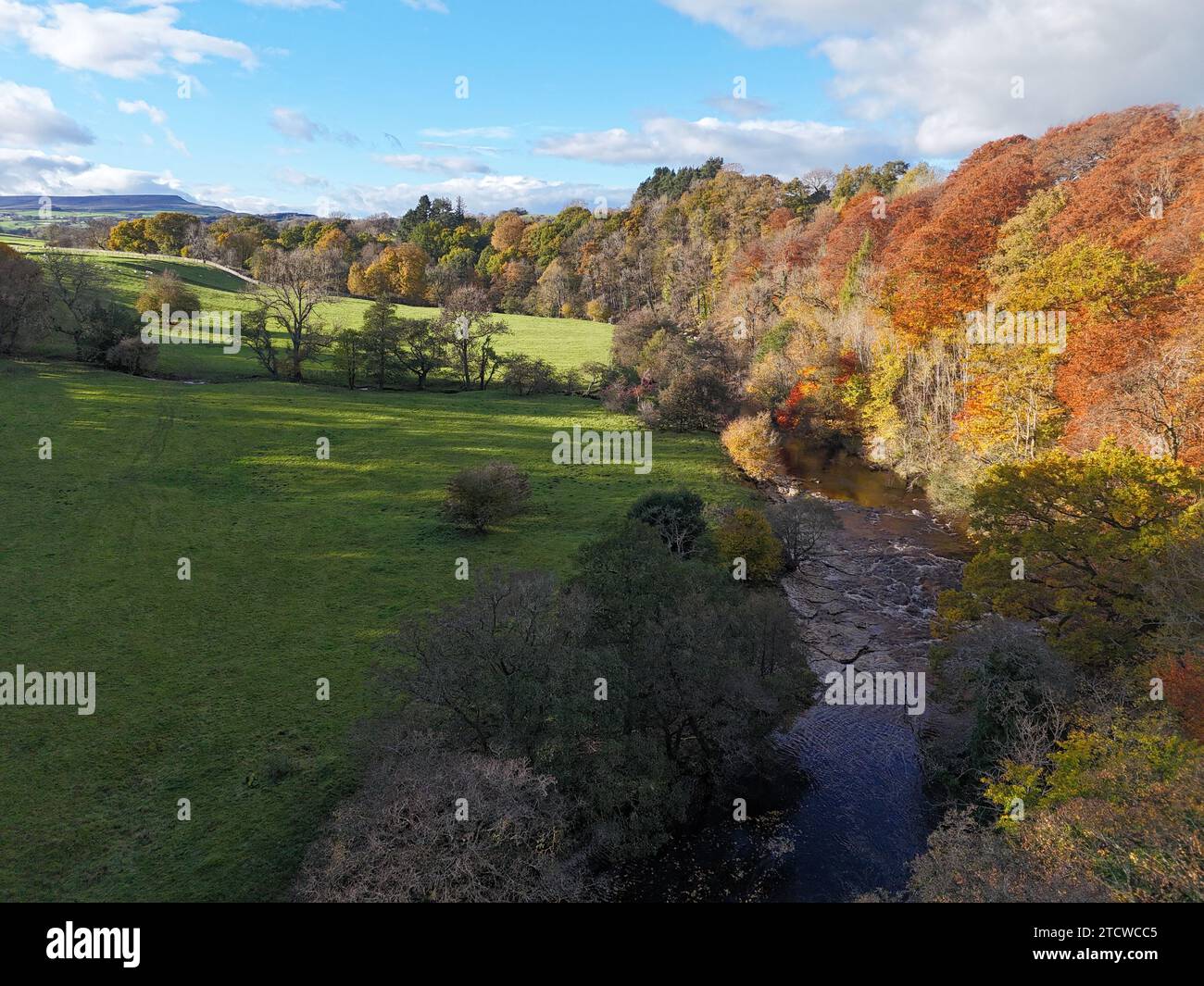 Flying above the tree over the River Cover in North Yorkshire UK Stock Photo