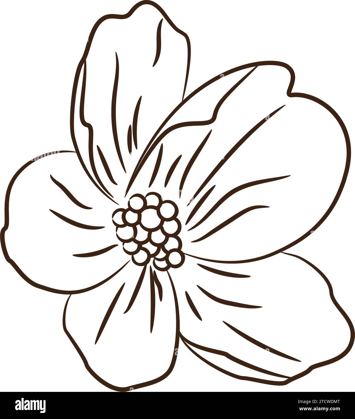 Vintage hand drawn flower sketch Vector Stock Vector Image & Art - Alamy