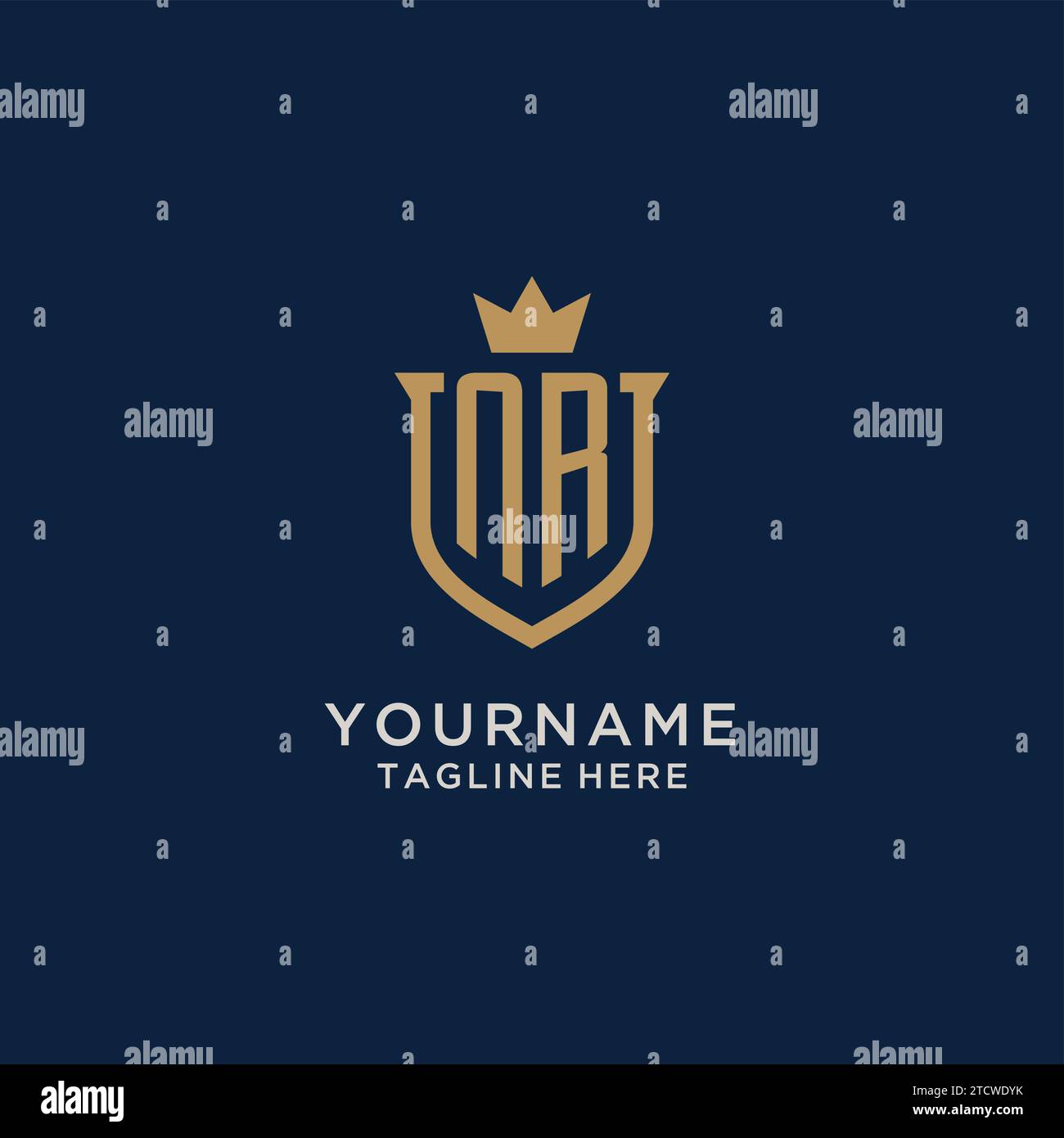 NR initial shield crown logo vector graphic Stock Vector