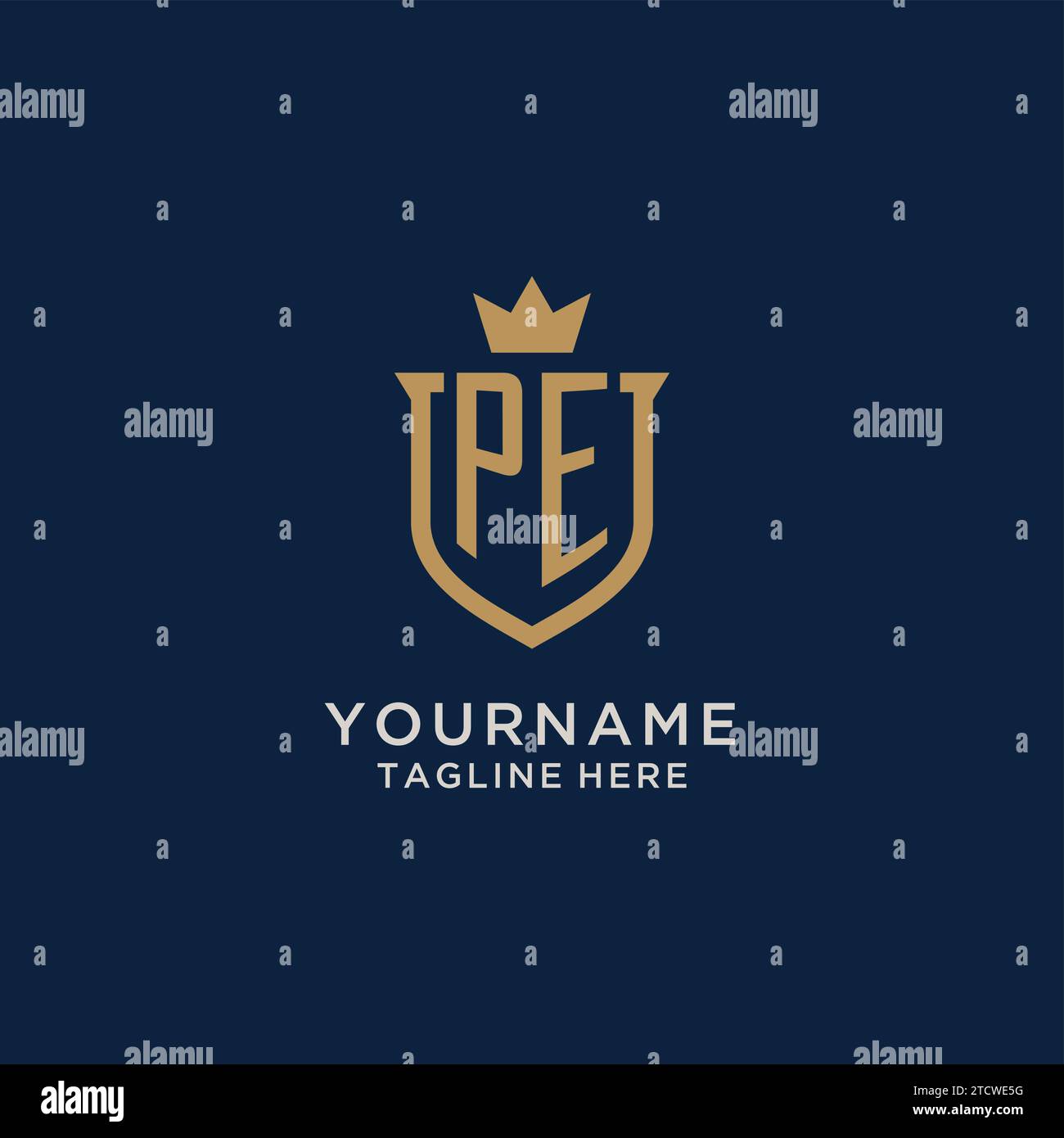 PE initial shield crown logo vector graphic Stock Vector