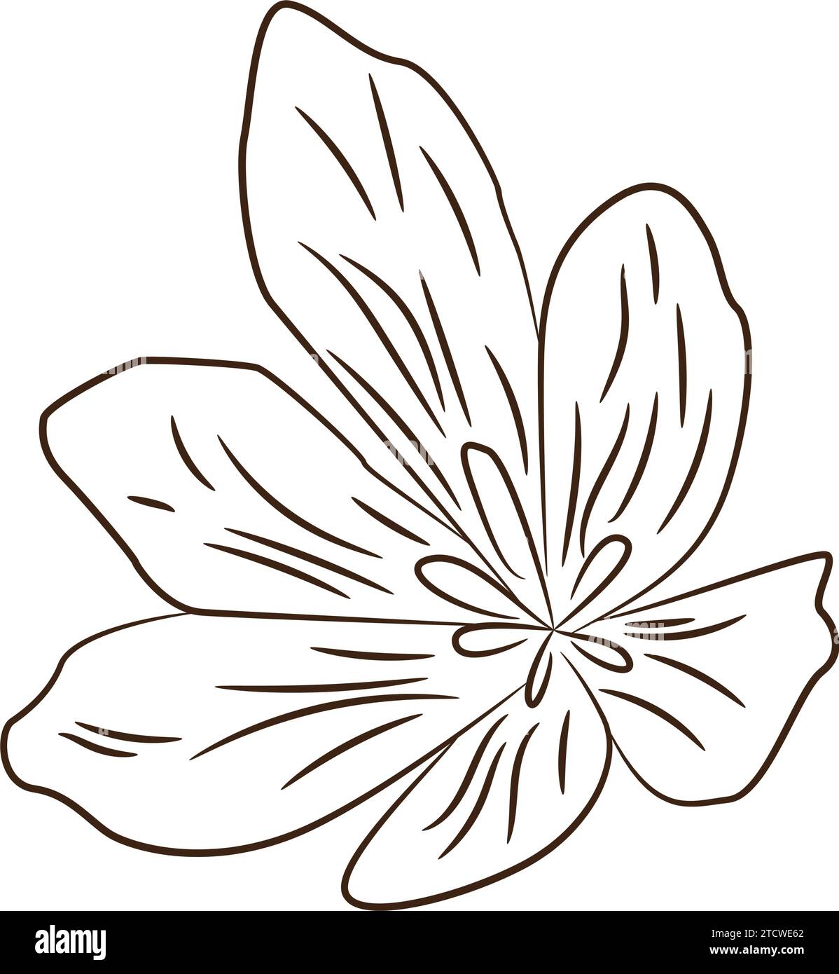 Vintage hand drawn flower sketch Vector Stock Vector Image & Art - Alamy