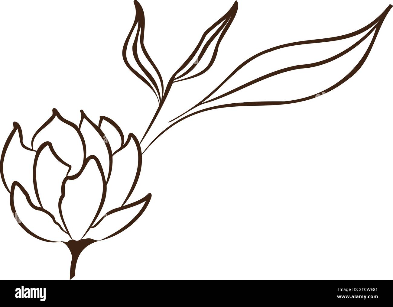 Vintage hand drawn flower sketch Vector Stock Vector Image & Art - Alamy
