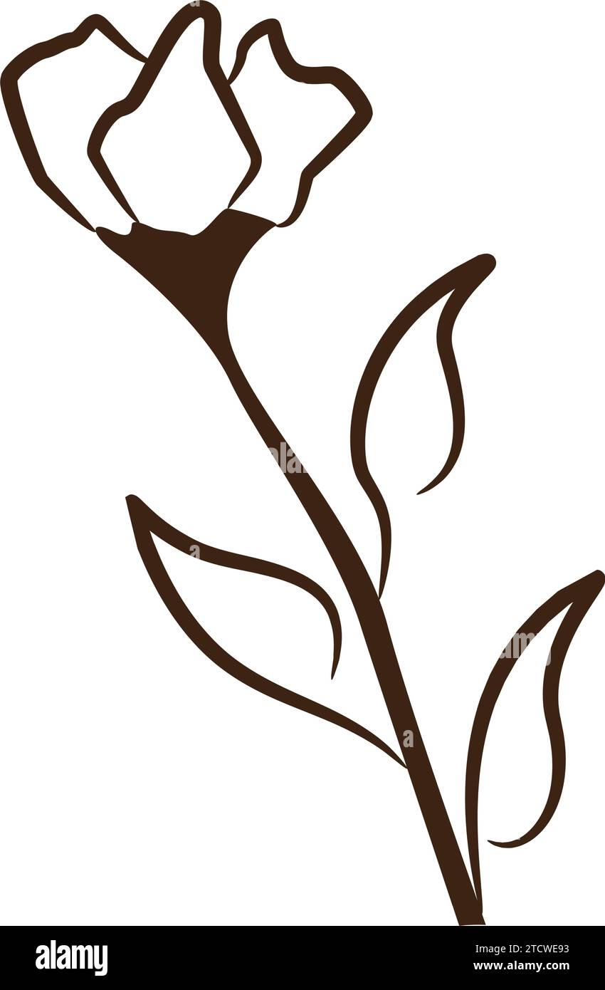 Vintage hand drawn flower sketch Vector Stock Vector Image & Art - Alamy