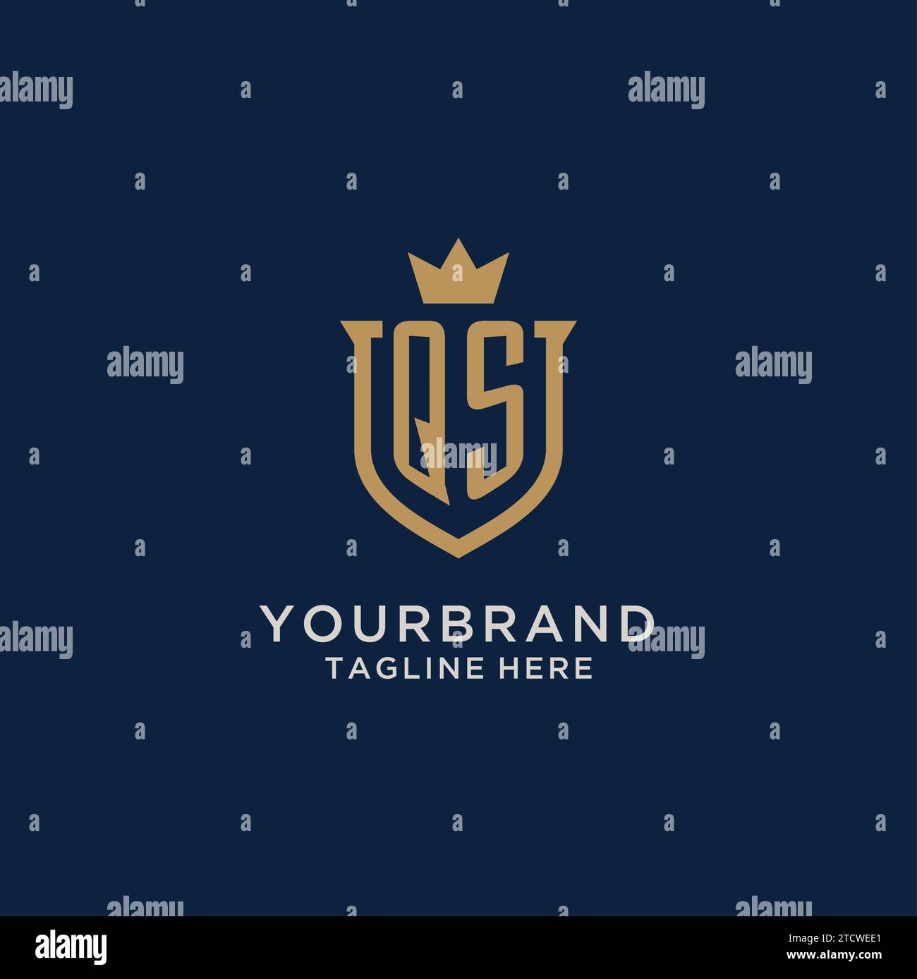QS initial shield crown logo vector graphic Stock Vector