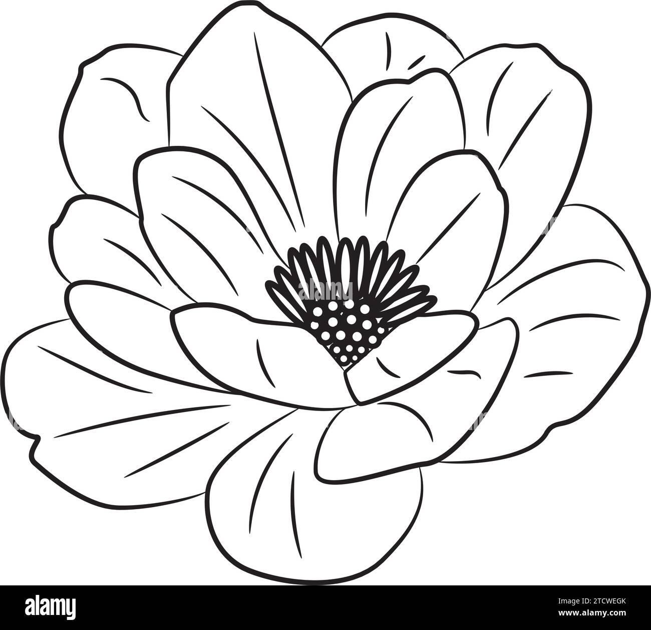 Vintage hand drawn flower sketch Vector Stock Vector Image & Art - Alamy