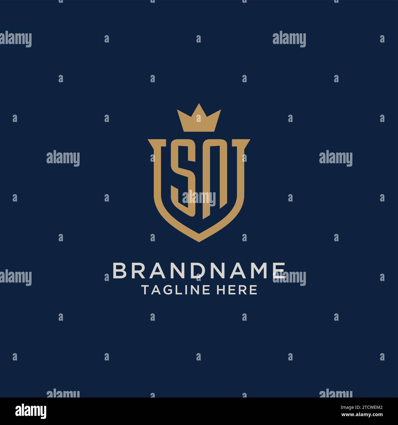 SN initial shield crown logo vector graphic Stock Vector