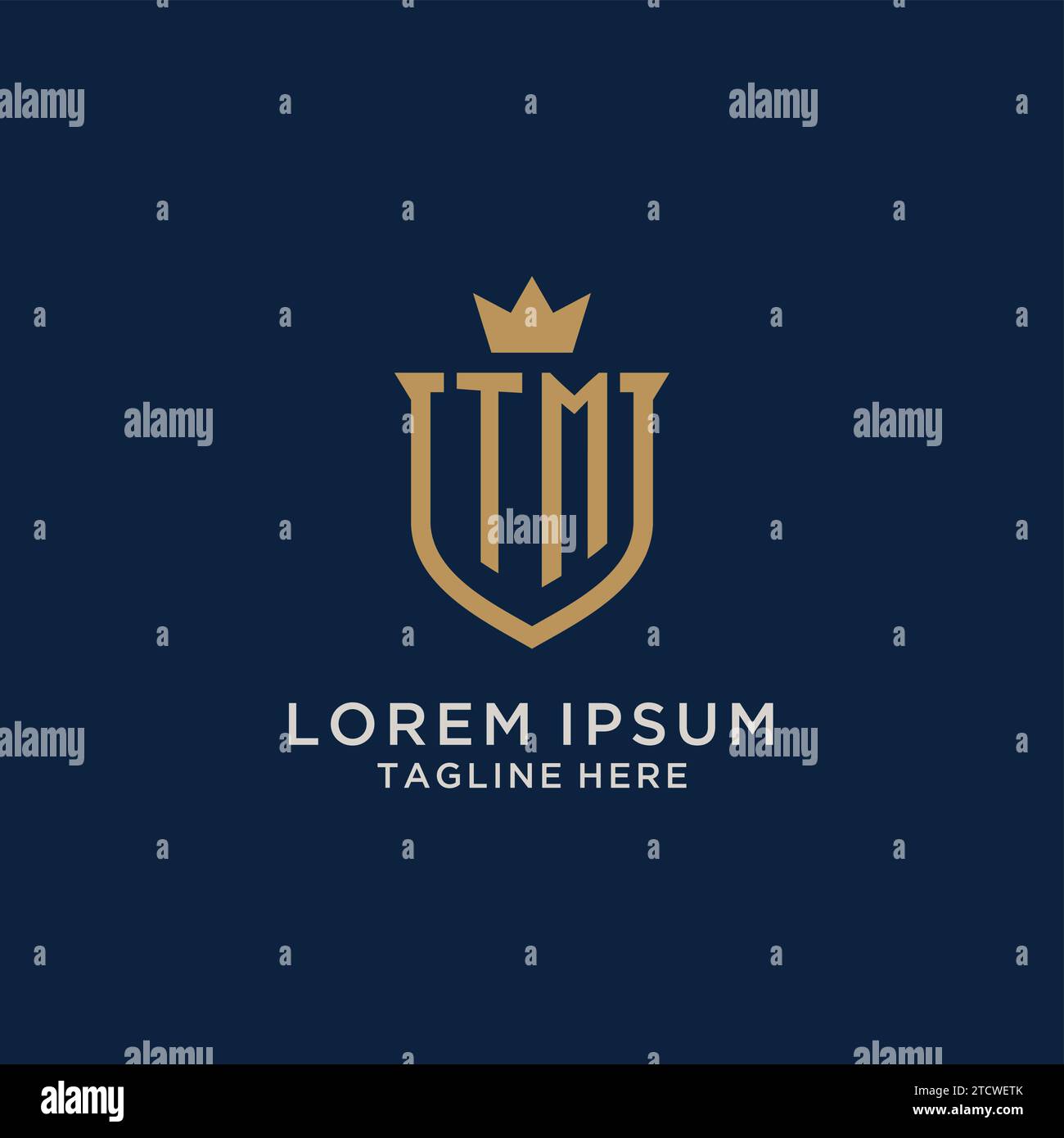 TM initial shield crown logo vector graphic Stock Vector
