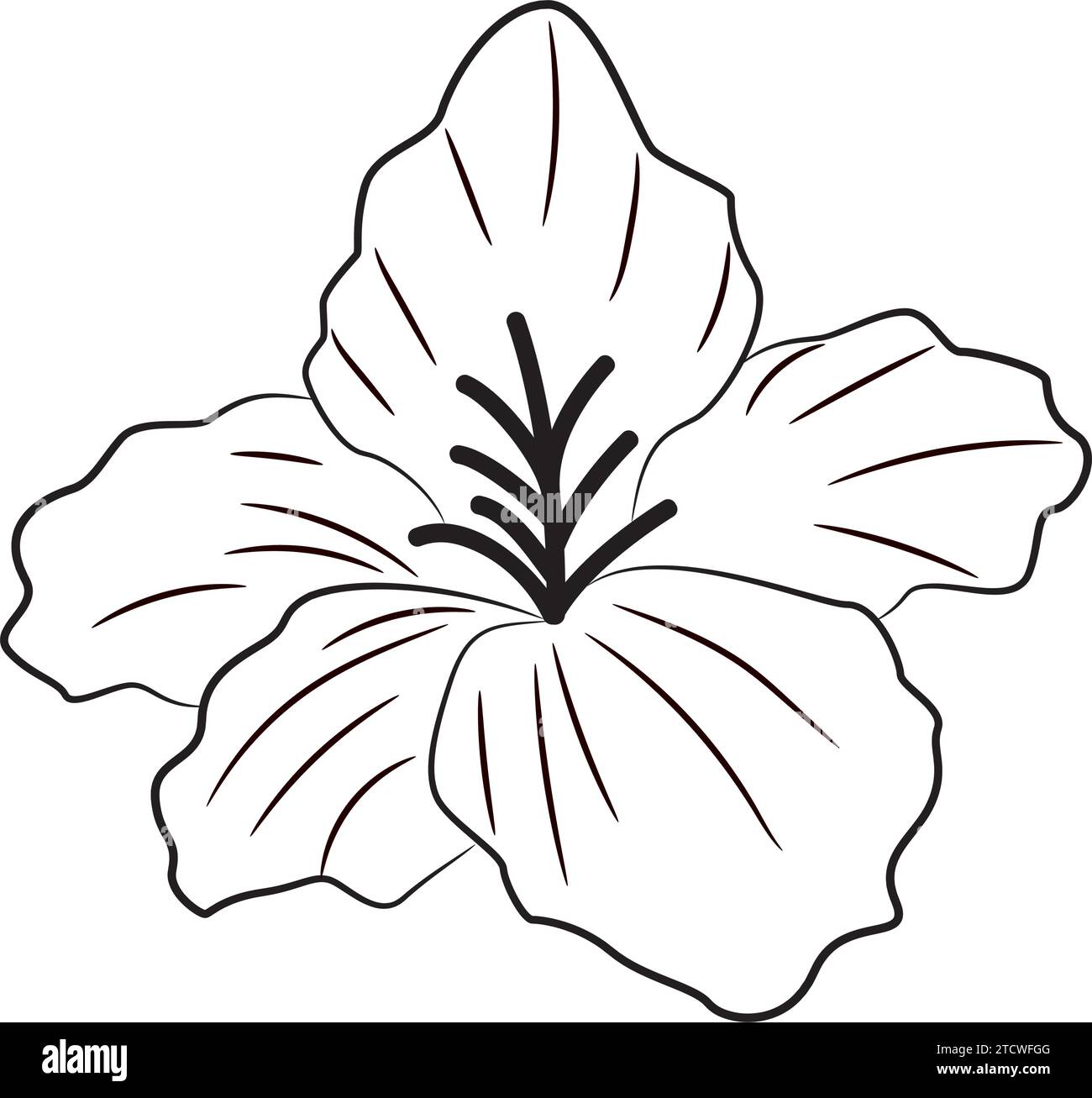 Vintage hand drawn flower sketch Vector Stock Vector Image & Art - Alamy