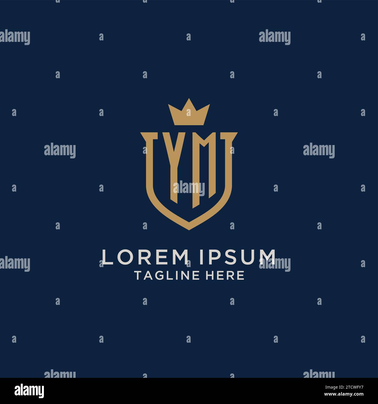 YM initial shield crown logo vector graphic Stock Vector