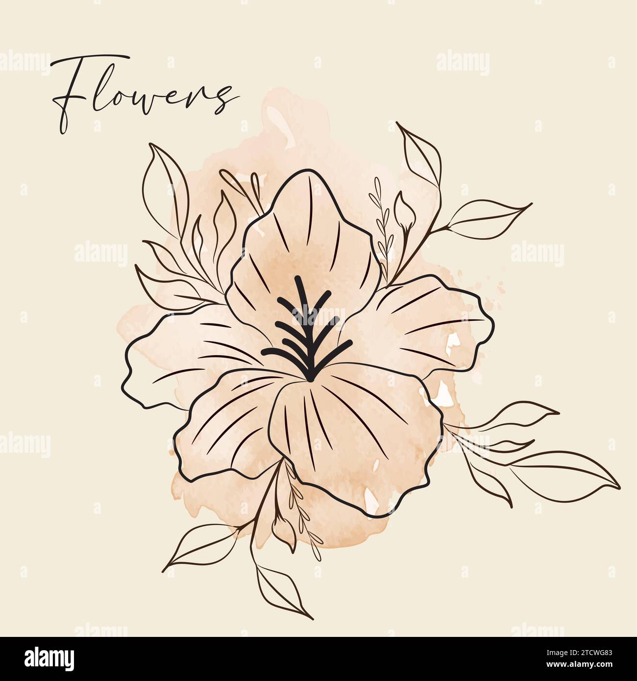 Vintage hand drawn flower sketch Vector Stock Vector Image & Art - Alamy