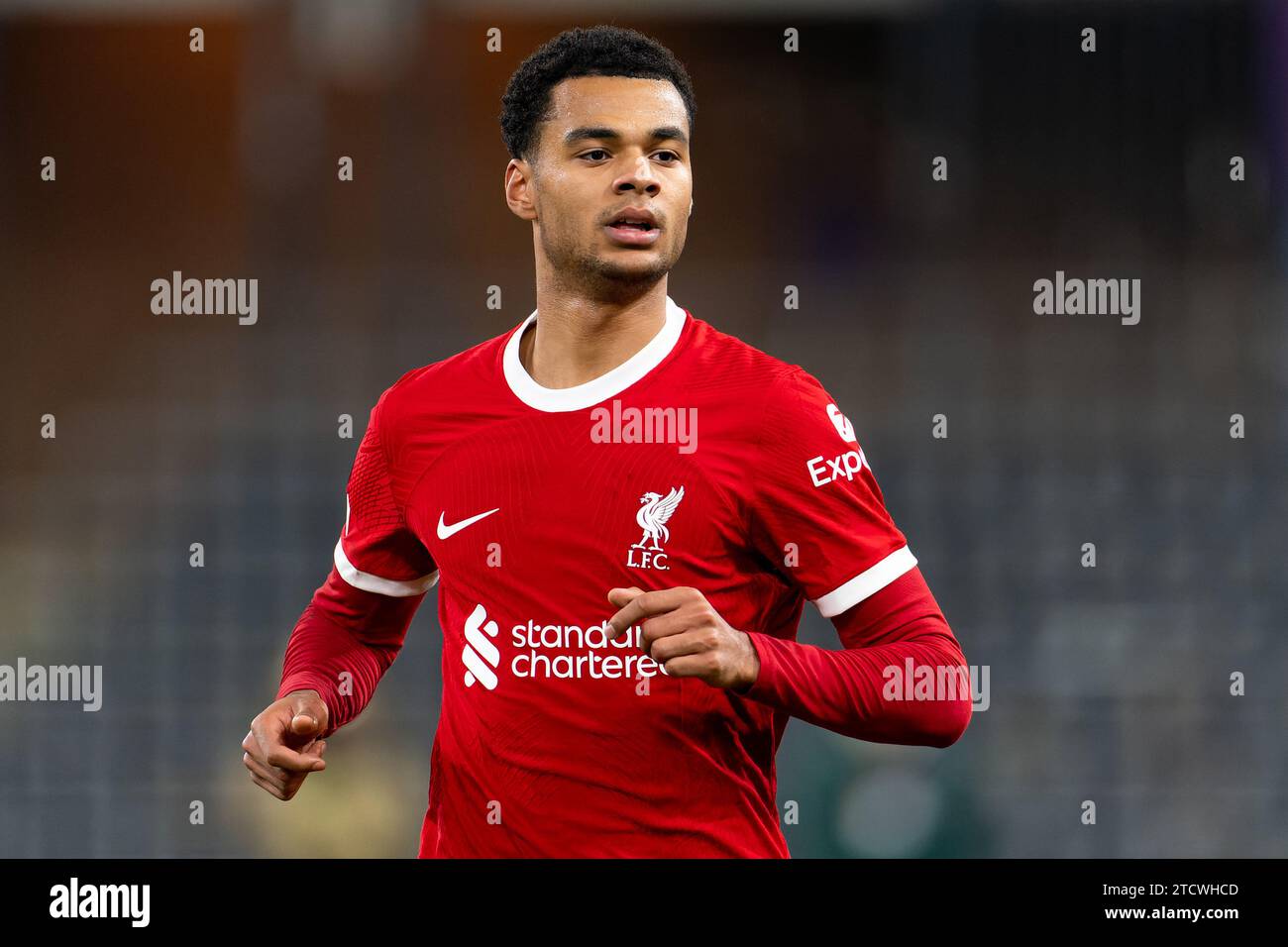Brussels, Belgium. 14th Dec, 2023. BRUSSELS, BELGIUM - DECEMBER 14: Cody Gakpo of Liverpool looks on during the UEFA Europa League Group E match between Royale Union Saint-Gilloise and Liverpool FC at the RSC Anderlecht Stadium on December 14, 2023 in Brussels, Belgium. (Photo by Joris Verwijst/BSR Agency) Credit: BSR Agency/Alamy Live News Stock Photo