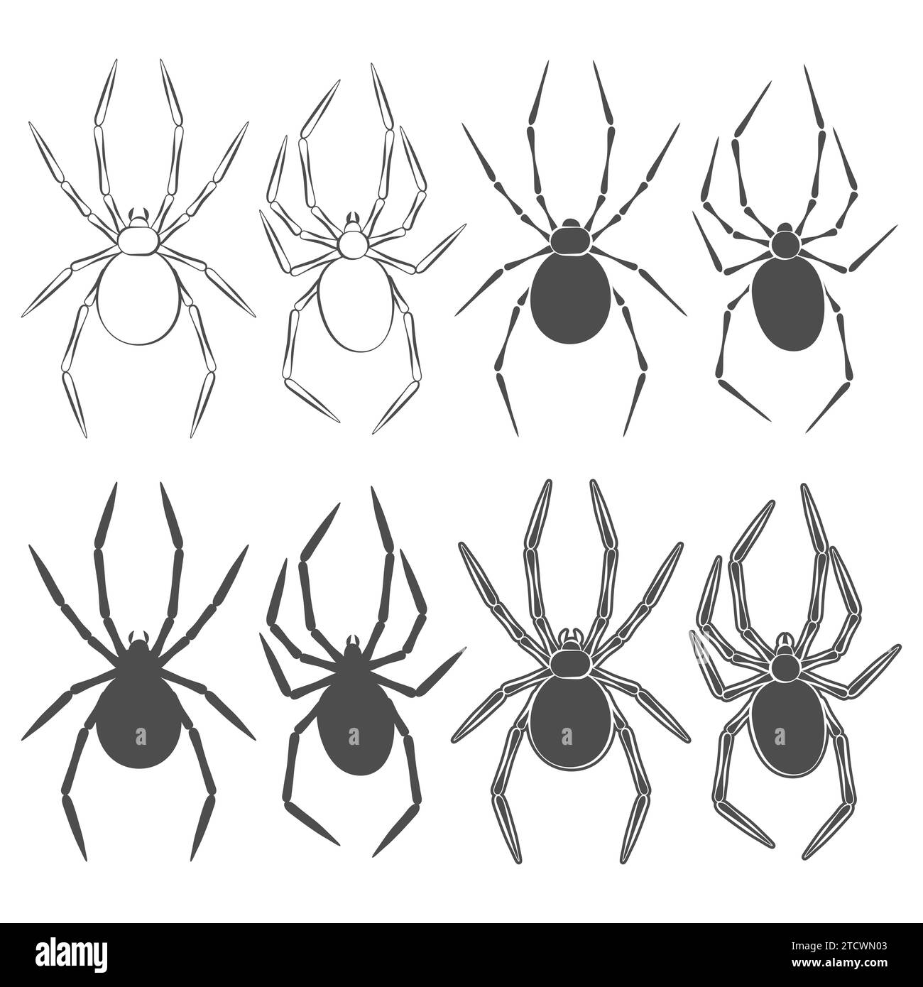 Set of black and white illustrations with spider. Isolated vector objects on white background. Stock Vector