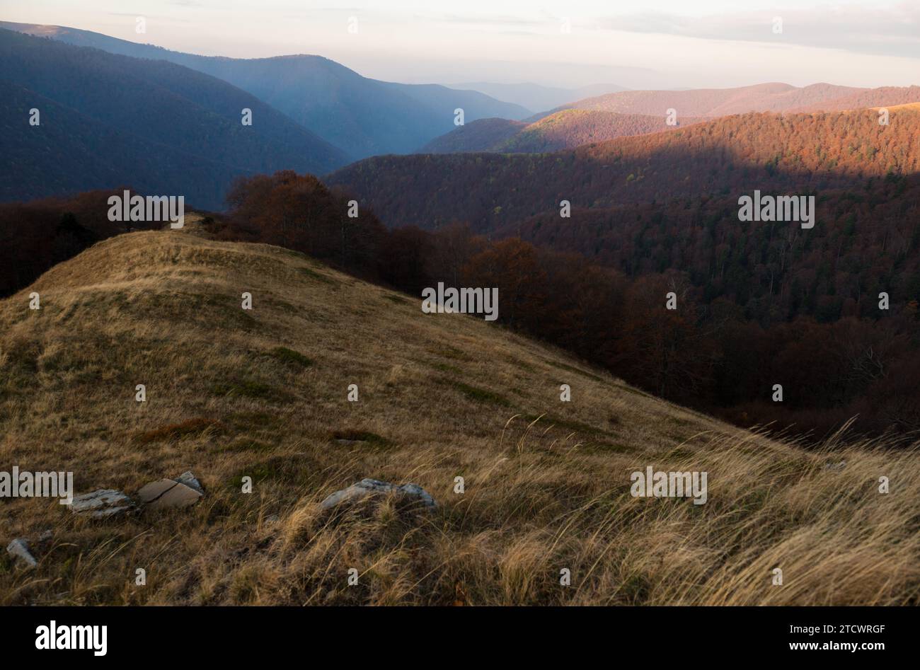 Autumn in Carpathian mountains, Ukraine Stock Photo - Alamy
