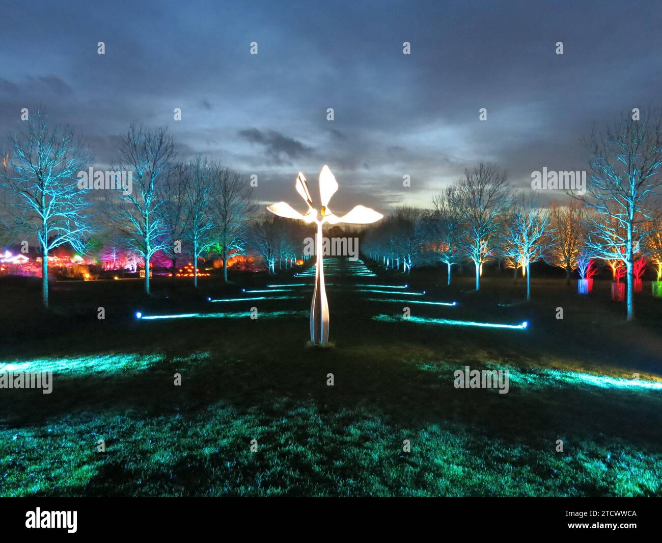 Hyde hall christmas events