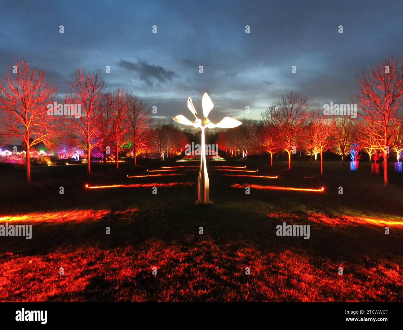 Hyde hall christmas events