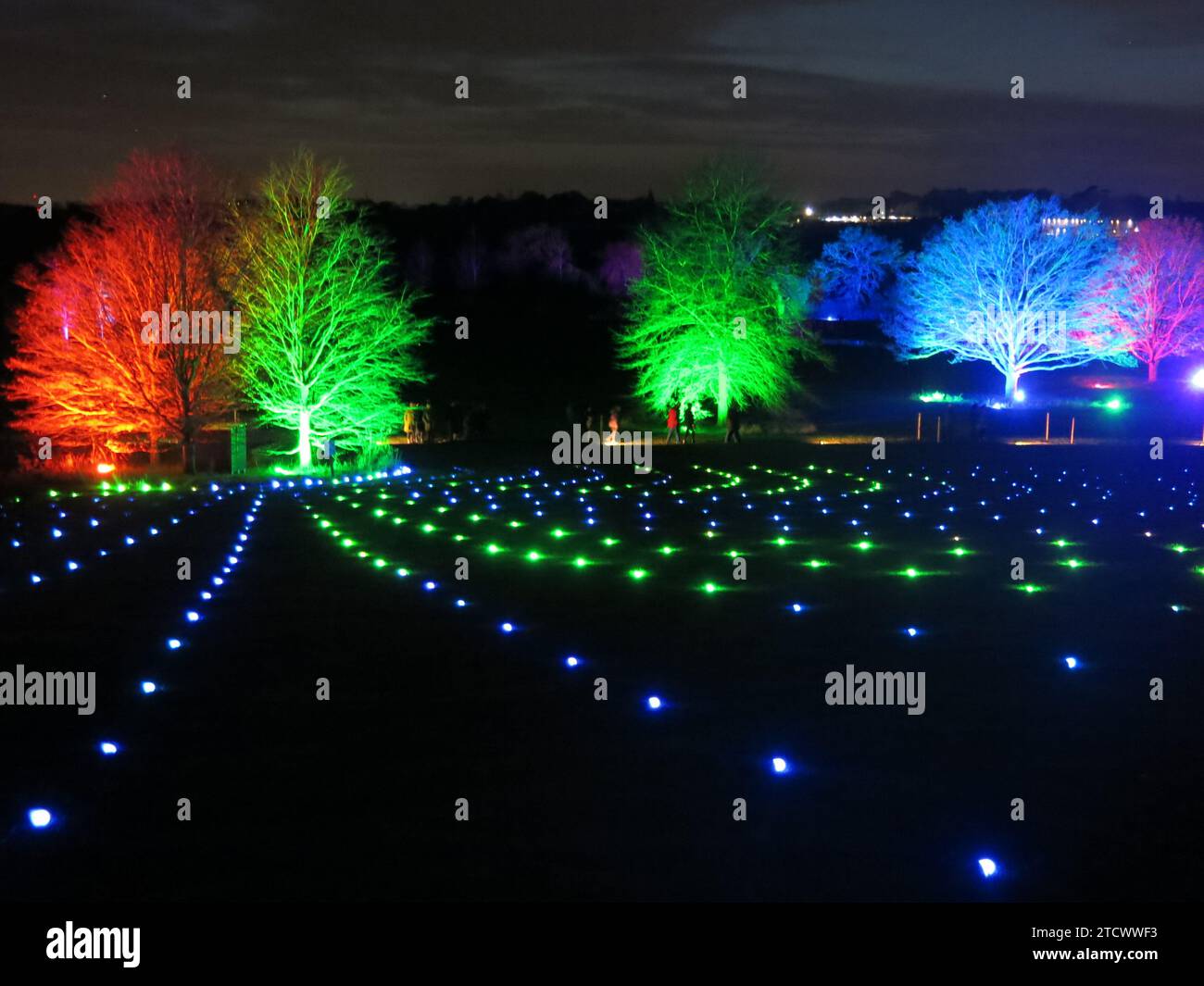 Hyde hall christmas events