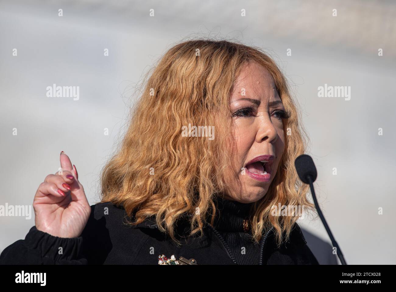 United States Representative Lucy McBath (Democrat of Georgia) gathers with members of the Gun Violence Prevention Task Force at an event to mark the he 11th anniversary of the Sandy Hook Elementary School shooting on the House Steps at the Capitol in Washington, DC on Thursday, December 14, 2023. Credit: Annabelle Gordon/CNP /MediaPunch Stock Photo