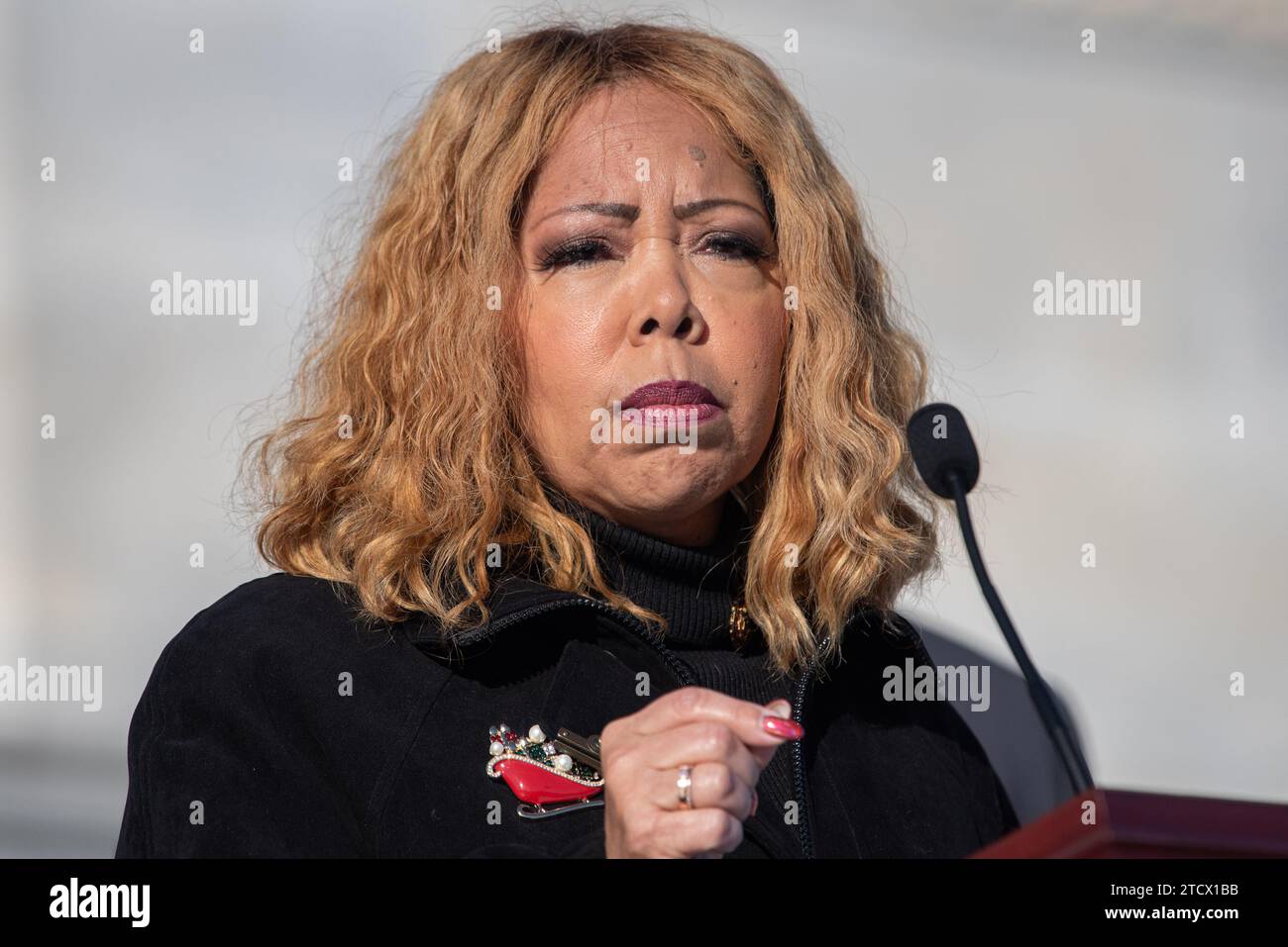 Washington, United States Of America. 14th Dec, 2023. United States Representative Lucy McBath (Democrat of Georgia) gathers with members of the Gun Violence Prevention Task Force at an event to mark the he 11th anniversary of the Sandy Hook Elementary School shooting on the House Steps at the Capitol in Washington, DC on Thursday, December 14, 2023. Credit: Annabelle Gordon/CNP/Sipa USA Credit: Sipa USA/Alamy Live News Stock Photo