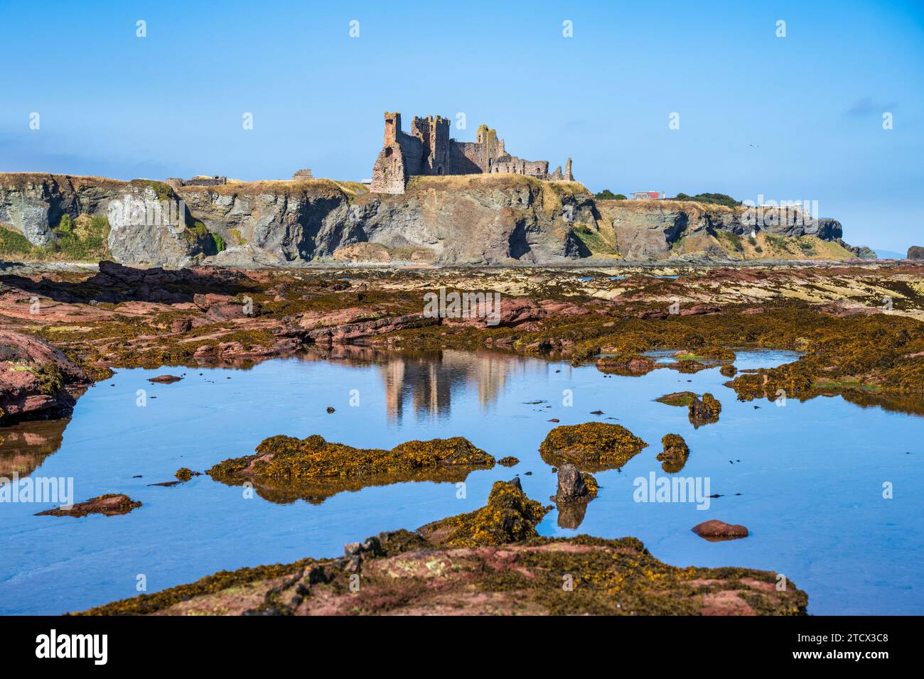 View of the ruins of Tantallon Castle on headland above Oxroad Bay reflected in the still rock pool left by the retreating tide, East Lothian Coast, S Stock Photo