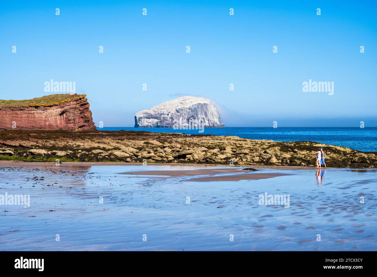 Visitors walking across the golden sands of Seacliff Beach, with distant view of the Bass Rock, East Lothian Coast, Scotland, UK Stock Photo