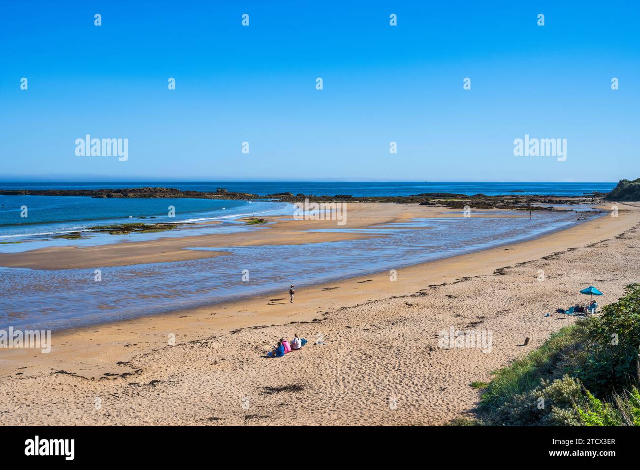 View looking east across the golden sands of Seacliff Beach, East Lothian Coast, Scotland, UK Stock Photo
