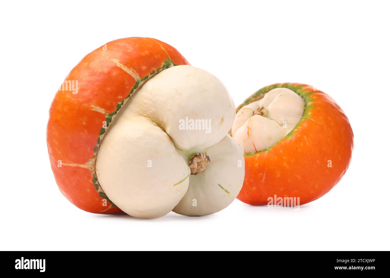 Two fresh ripe pumpkins isolated on white Stock Photo - Alamy