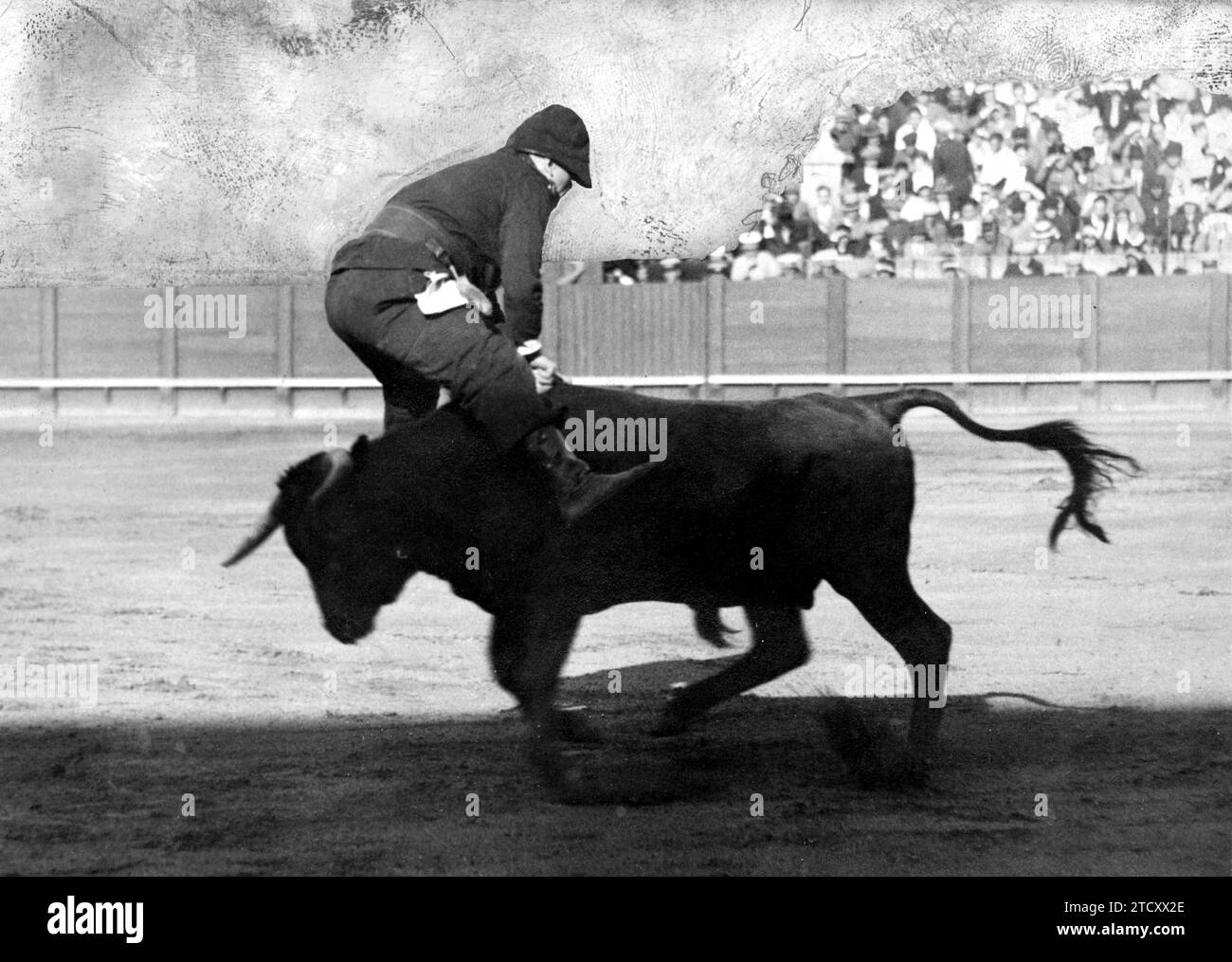 12/31/1949. Pablo Celis, the firefighter Bullfighter, Placing a pair of Short Flags in a spectacular Jump 'A Pídola'. Credit: Album / Archivo ABC Stock Photo
