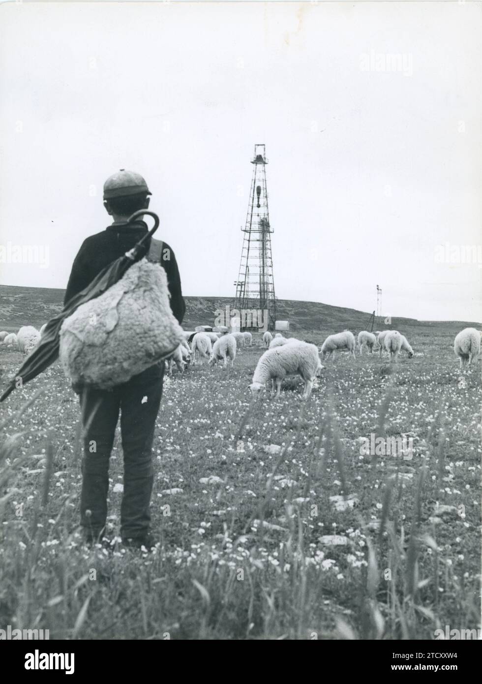 Valdeajos. The dream of black gold. On June 6, 1964, the discovery of an oil field in the Páramo de La Lora in Burgos was announced. In the image, a shepherd boy watches as the extraction tower rises. Credit: Album / Archivo ABC Stock Photo
