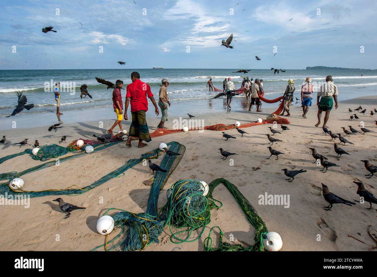 Fishermen hauling in their Seine fishing nets from the ocean onto Uppuveli  beach on the east coast of Sri Lanka in the early morning Stock Photo -  Alamy