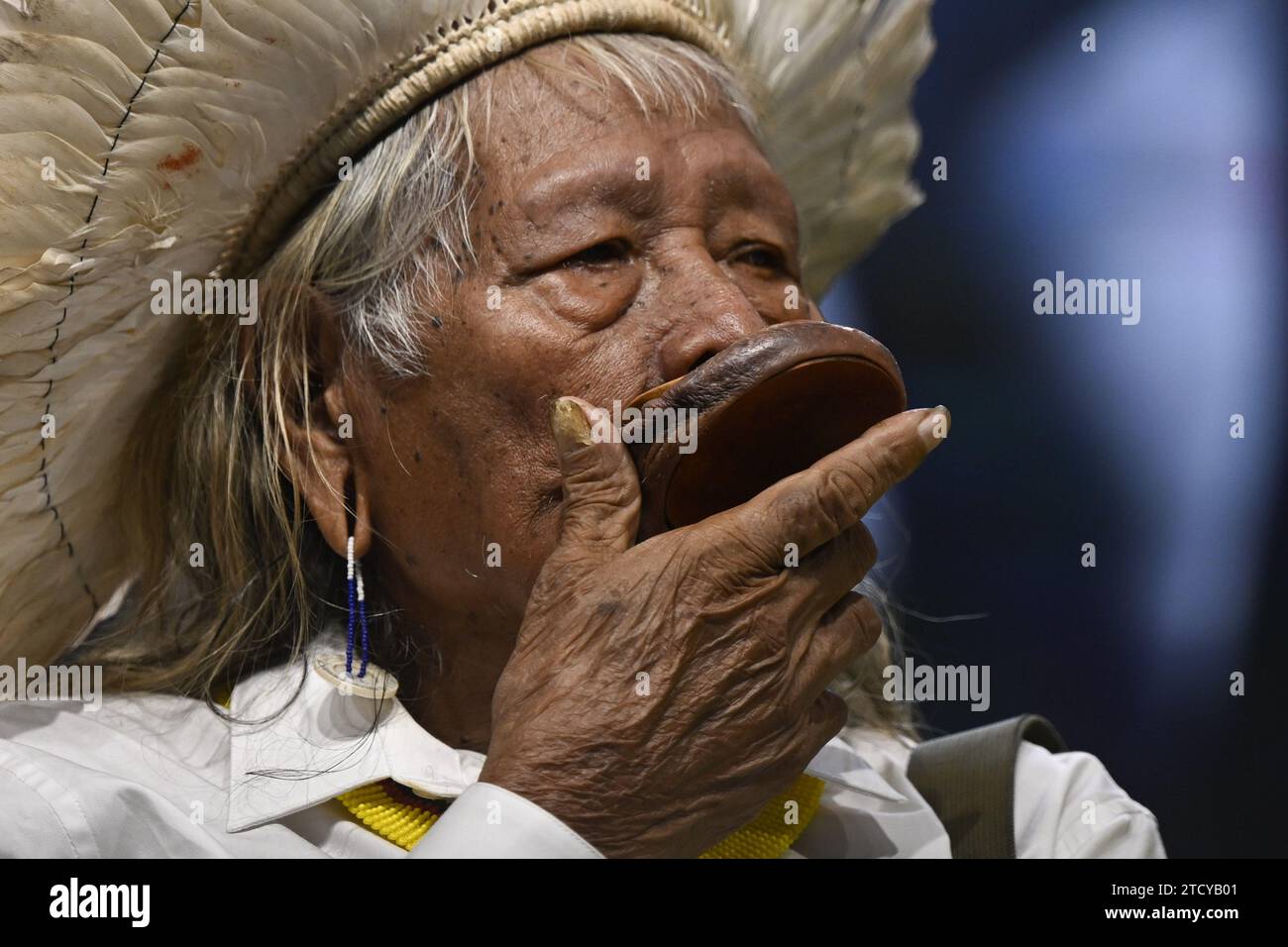 Chief raoni hi-res stock photography and images - Alamy