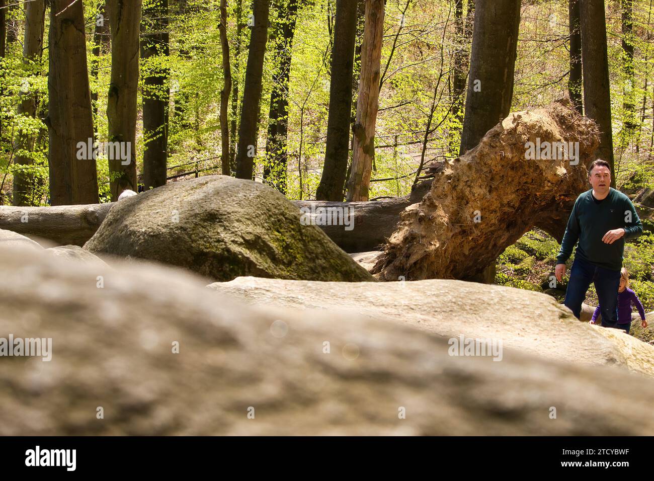 Lautertal, Germany - April 24, 2021: Trees and a walking path next to large rocks at Felsenmeer on a spring day in Germany. Stock Photo