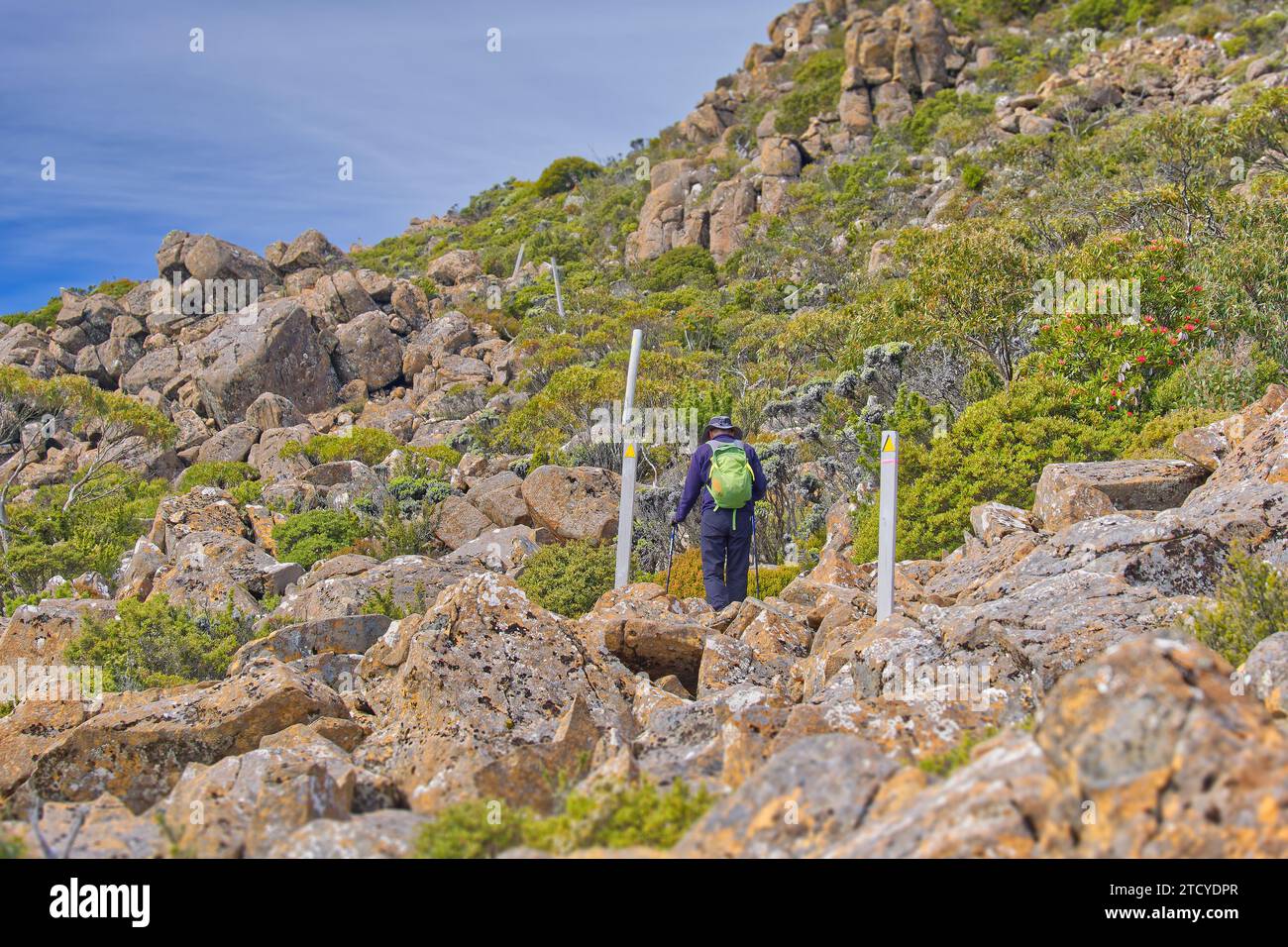 Image of a hiker navigating a rocky mountain trail between snow poles on Collins Bonnet, Mount Wellington, Hobart, Tasmania, Australia Stock Photo