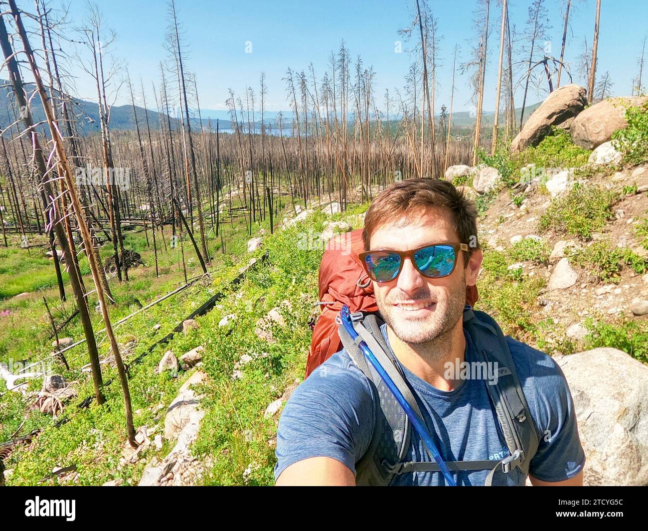A male hiker captures a selfie against the contrasting backdrop of a recovering burnt forest in Rocky Mountain National Park. Stock Photo