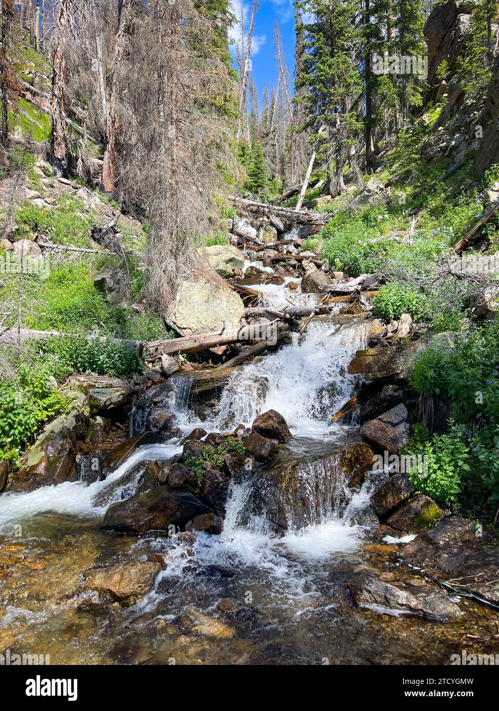 Cascading clear water hi-res stock photography and images - Alamy