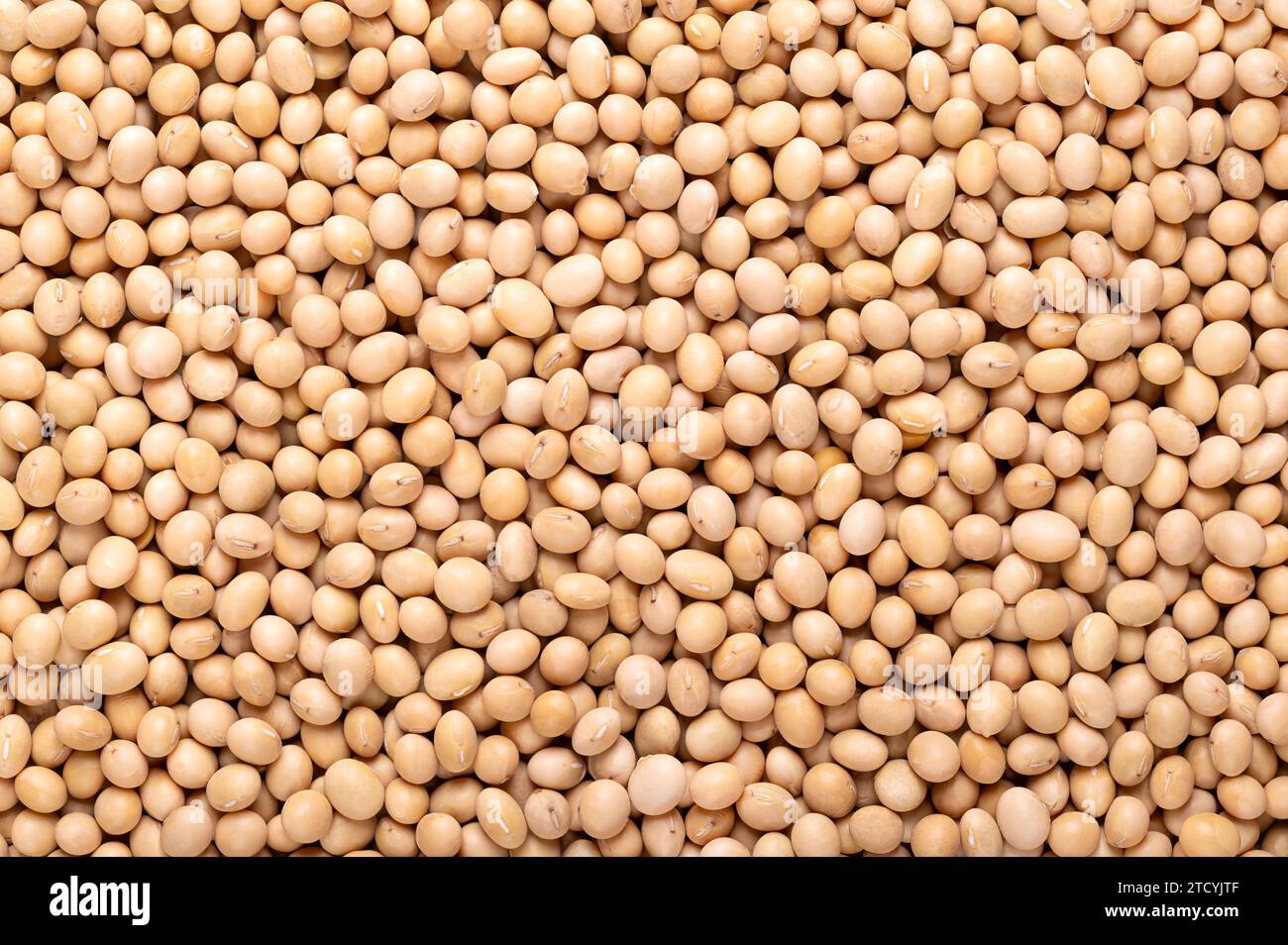 Dried soybeans, background, close-up, from above. Whole and raw seeds of the legume and oilseed Glycine max, also known as soy bean or soya bean. Stock Photo