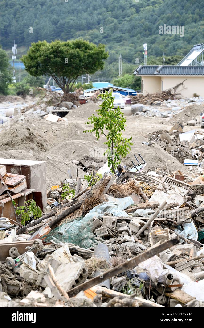 Typhoon damage hi-res stock photography and images - Alamy