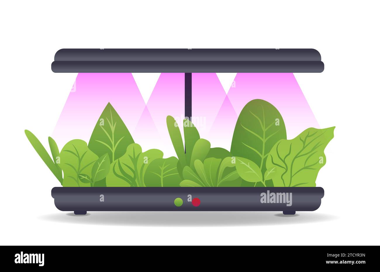 Portable hydroponic aeroponic system for ecofriendly growing of green