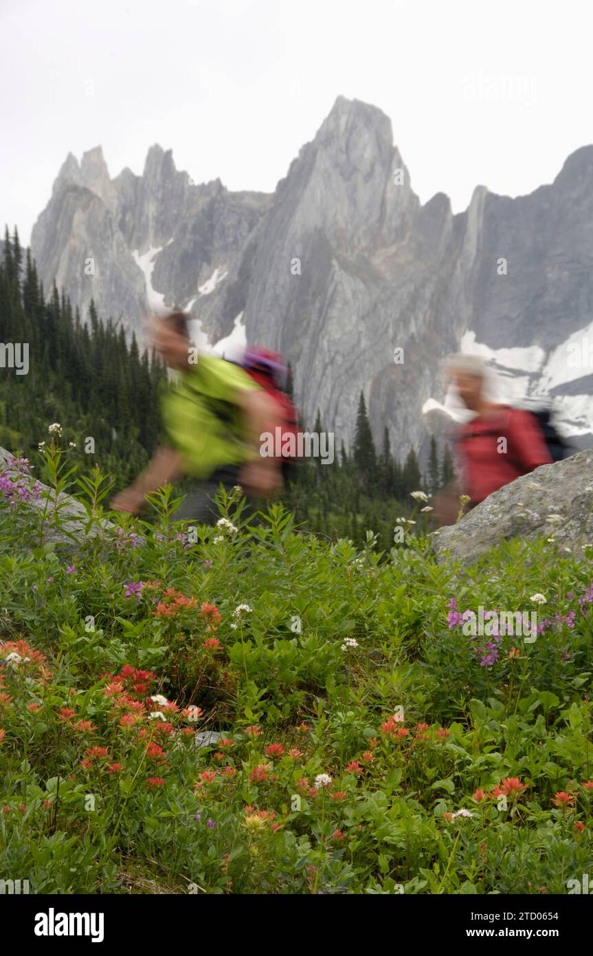 Two hikers pass an alpine flower garden. (blurred motion) Stock Photo