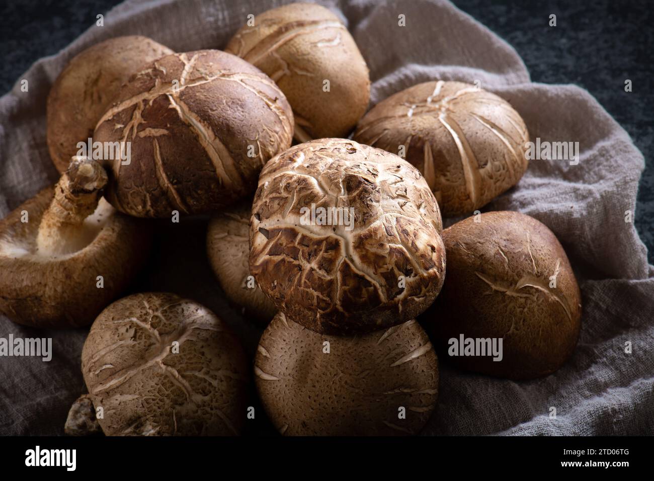 Shitake Mushroom on black background. Stock Photo