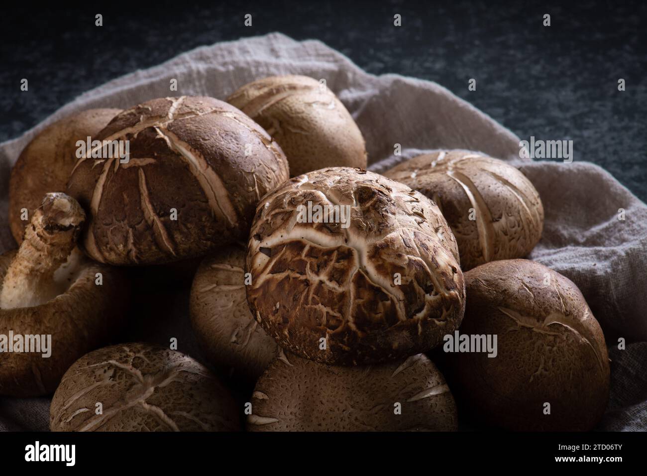 Shitake Mushroom on black background. Stock Photo