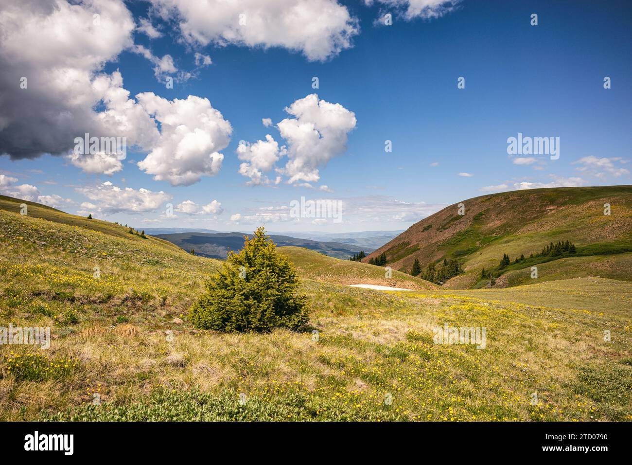 Cloudscape in the Eagles Nest Wilderness, Colorado Stock Photo - Alamy